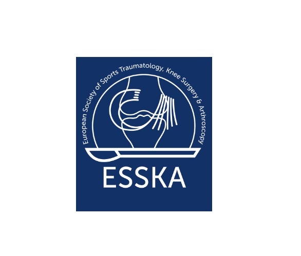 Management of anterior cruciate ligament revision in adults: the 2022 ESSKA consensus part I—diagnostics and preoperative planning